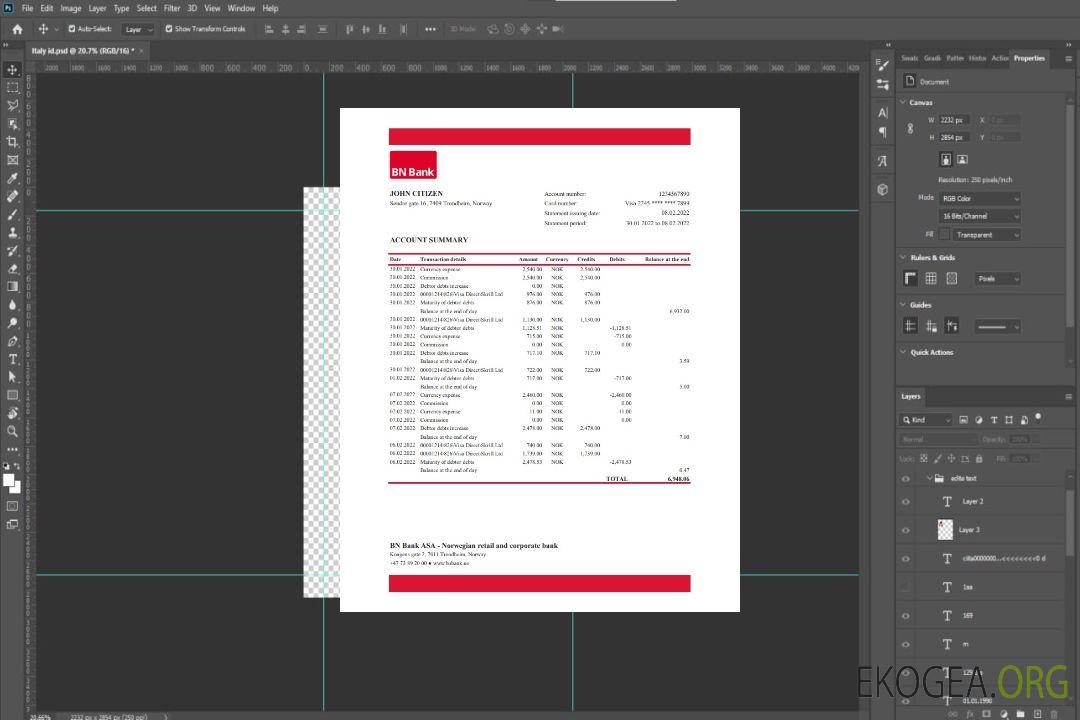 Relevé de la banque norvégienne BN template Relevé de la banque norvégienne BN template